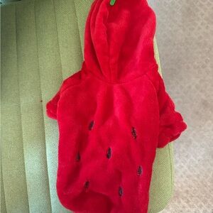Red Hooded Pet Costume